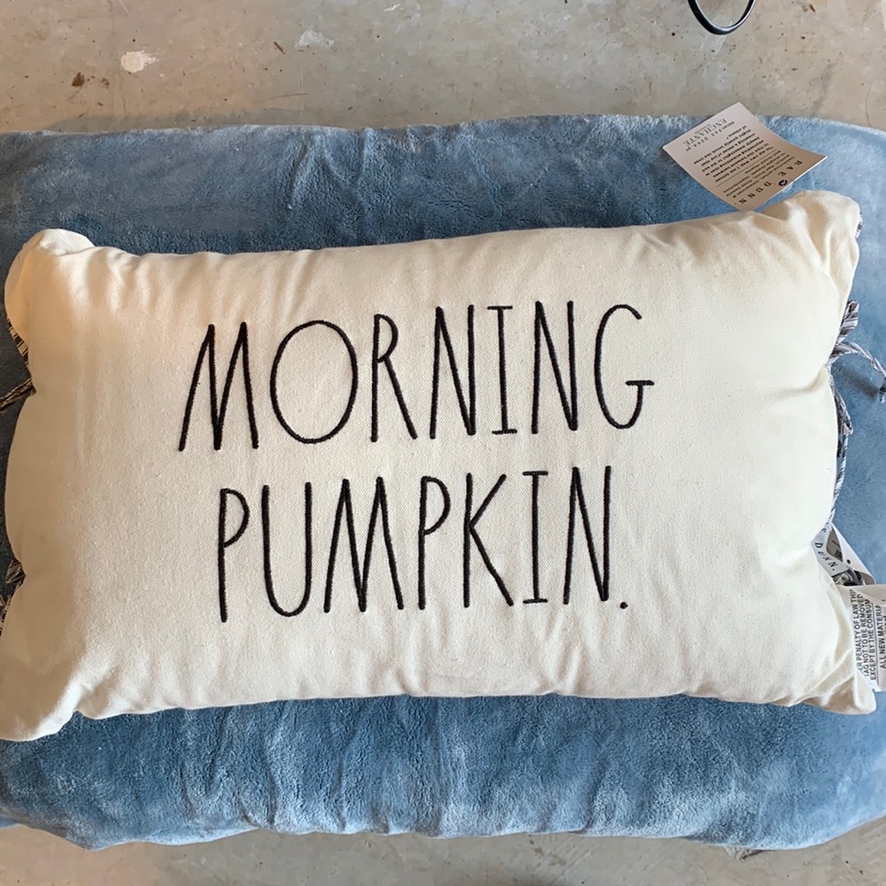 Rae Dunn fall decor pillow